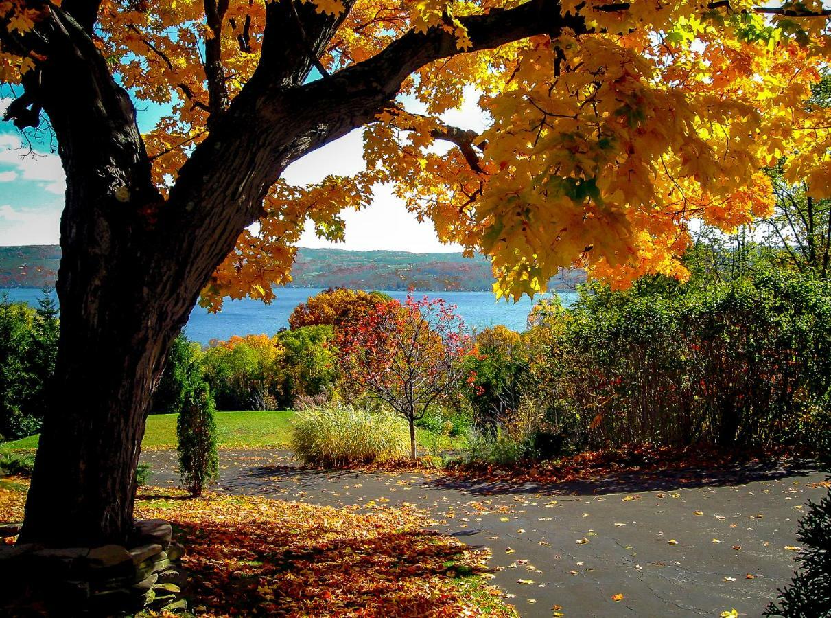 Moonshadow B&B Hammondsport Exteriér fotografie